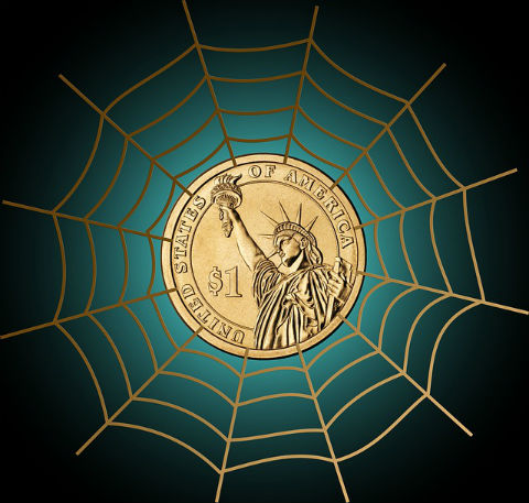 Dollar coin in the middle of a web