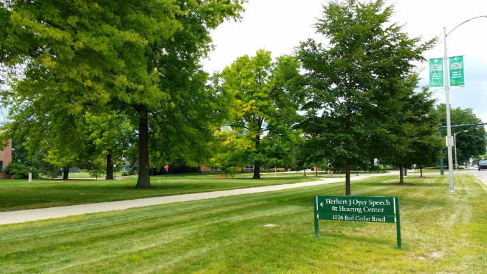 Viewing the trees across campus. The leaves are changing.