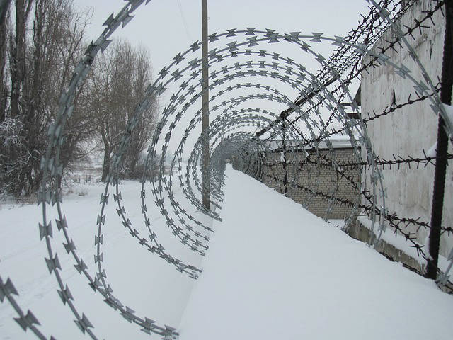 barbed-wire