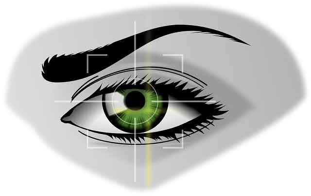 eye with biometrics identifiers going through it