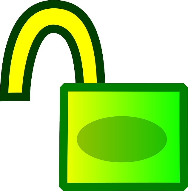 lock-27839 630x640