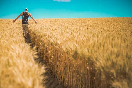 farmer in a field of grain