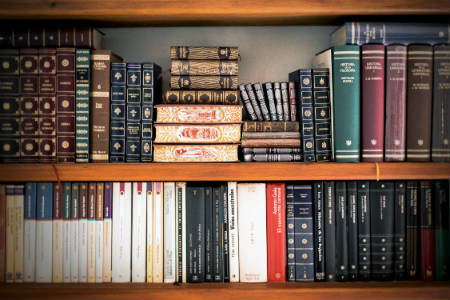 library shelf with history books