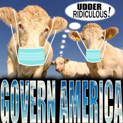 cows wearing masks